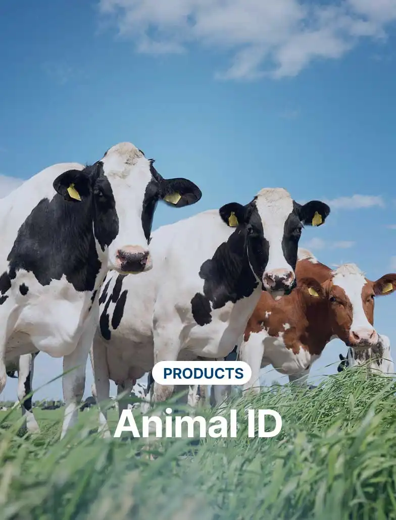 Animal Identification