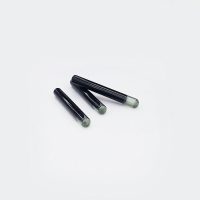 LF HDX IC with R/W Glass Transponder 32 mm