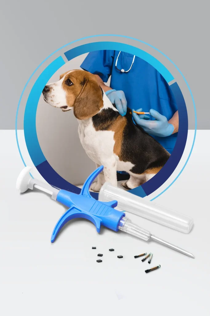 Pet Identification